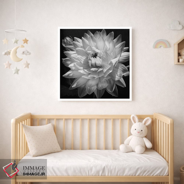 تابلو دکوراتیو دالیا سفید II اثر کارولین کلی - D1W