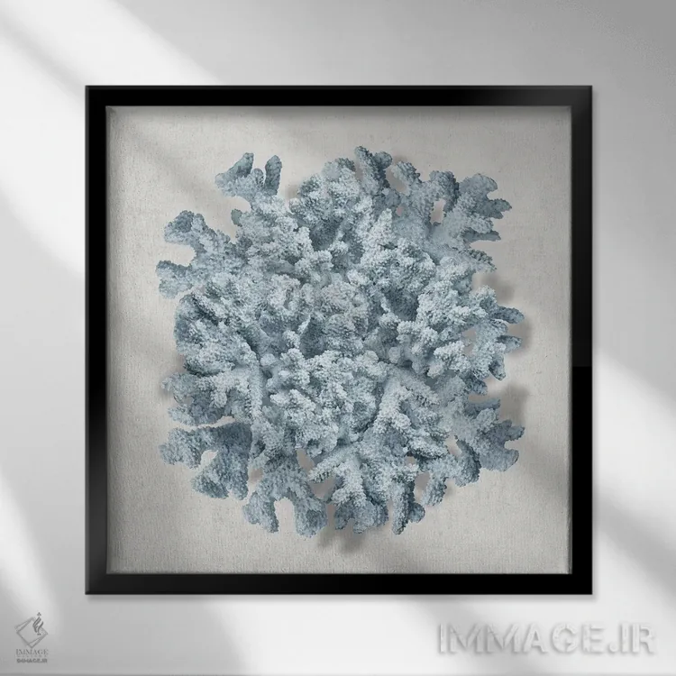 تابلو دکوراتیو مرجان آبی II اثر کارولین کلی - نمای قابدار مشکی