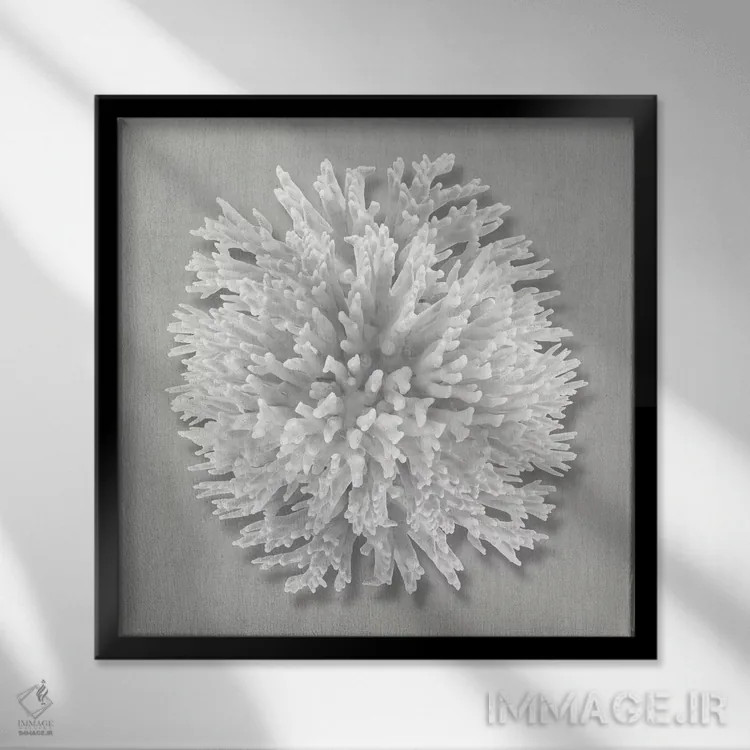 تابلو دکوراتیو مرجان روی خاکستری I اثر کارولین کلی - نمای قابدار مشکی