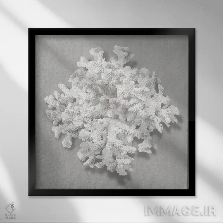 تابلو دکوراتیو مرجان روی خاکستری II اثر کارولین کلی - نمای قابدار مشکی