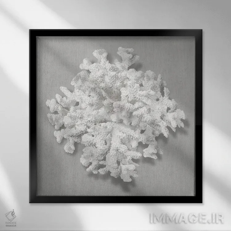 تابلو دکوراتیو مرجان روی خاکستری II اثر کارولین کلی - نمای قابدار مشکی