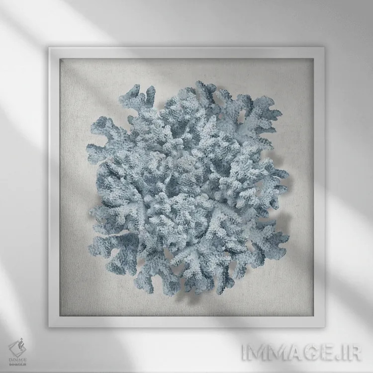 تابلو دکوراتیو مرجان آبی II اثر کارولین کلی - نمای قابدار سفید