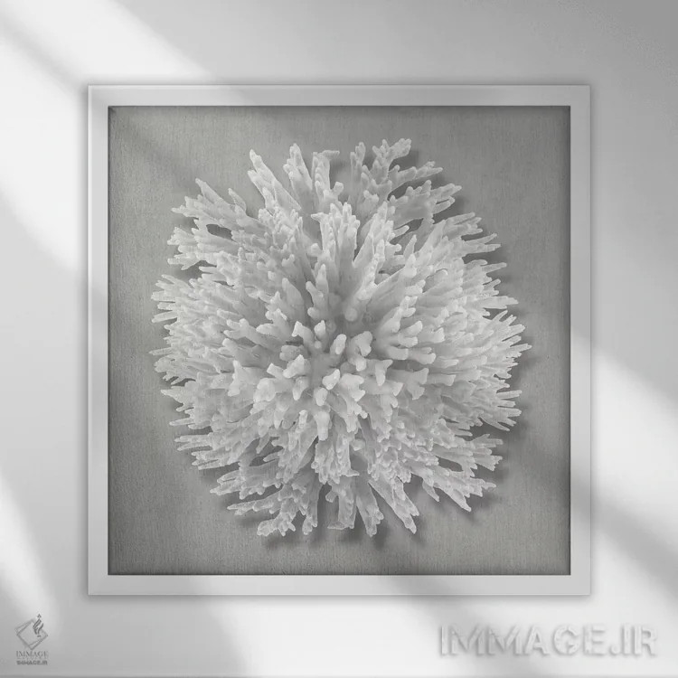 تابلو دکوراتیو مرجان روی خاکستری I اثر کارولین کلی - نمای قابدار سفید