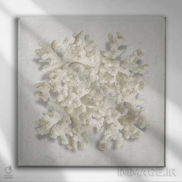 تابلو دکوراتیو مرجان II اثر کارولین کلی - نمای روبهرو روی دیوار