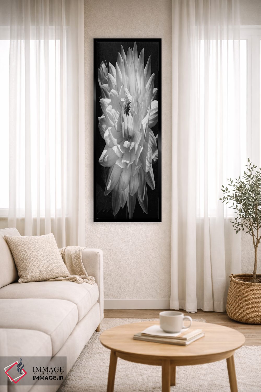 تابلو دکوراتیو دالیا سفید II اثر کارولین کلی - D4B