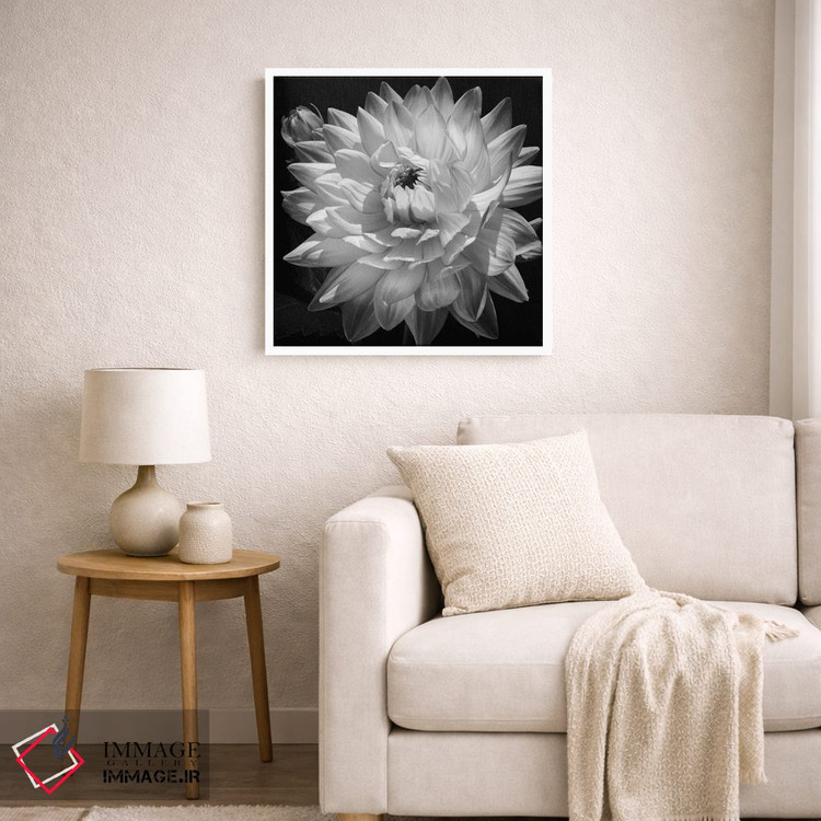 تابلو دکوراتیو دالیا سفید II اثر کارولین کلی - D6W