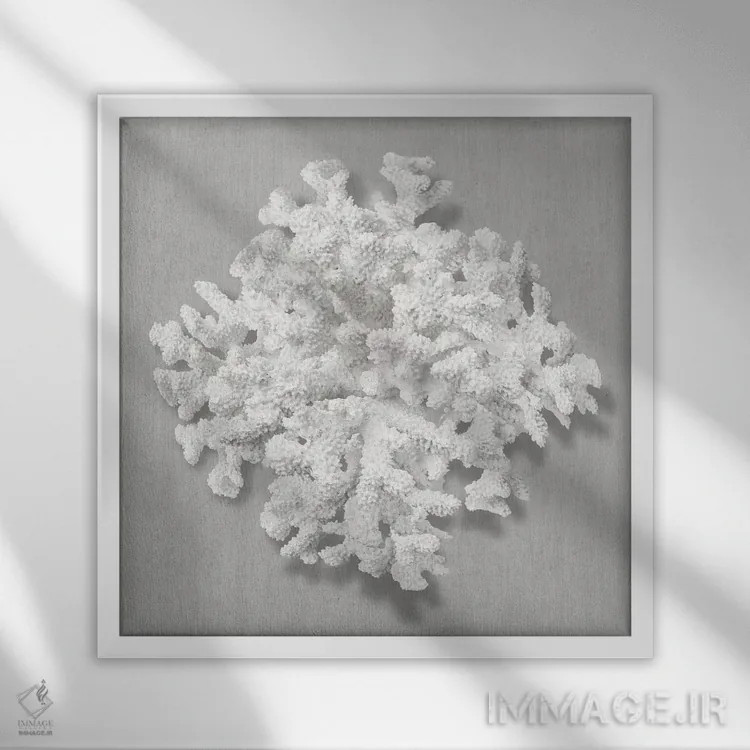 تابلو دکوراتیو مرجان روی خاکستری II اثر کارولین کلی - نمای قابدار سفید