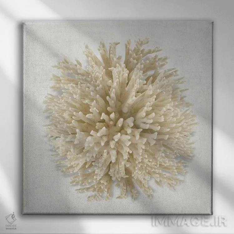 تابلو دکوراتیو مرجان کرمی I اثر کارولین کلی - نمای روبهرو روی دیوار