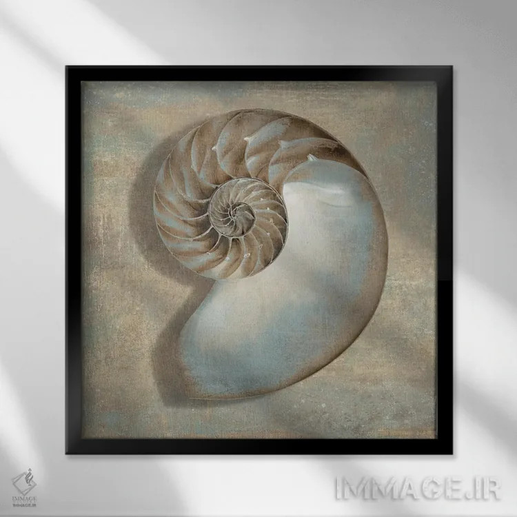 تابلو دکوراتیو ناتیلوس آبی اثر کارولین کلی - نمای قابدار مشکی