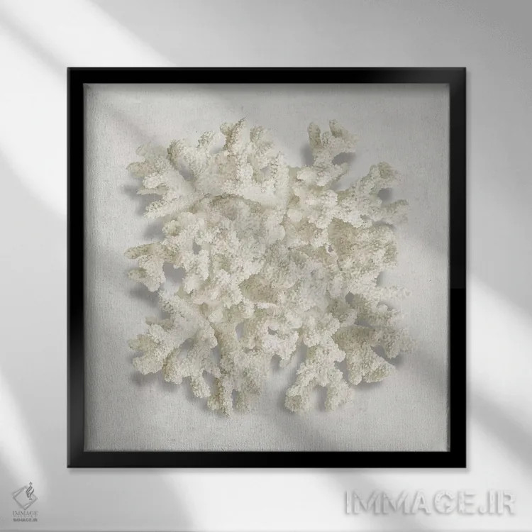 تابلو دکوراتیو مرجان II اثر کارولین کلی - نمای قابدار مشکی