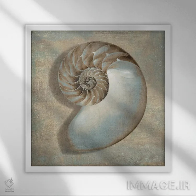 تابلو دکوراتیو ناتیلوس آبی اثر کارولین کلی - نمای قابدار سفید