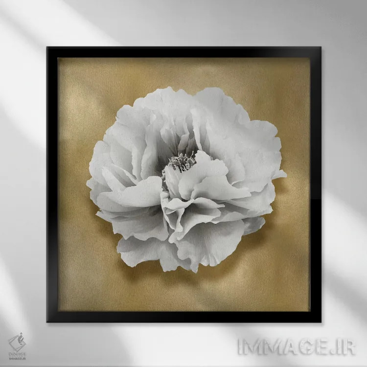 تابلو دکوراتیو گل بر روی زمینه طلایی III اثر کارولین کلی - نمای قابدار مشکی