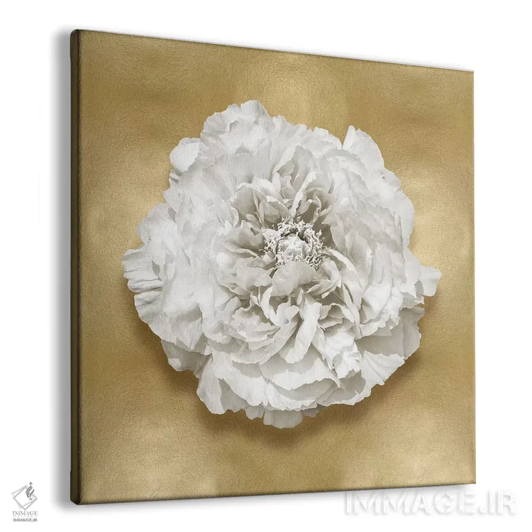 تابلو دکوراتیو گل بر روی زمینه طلایی II اثر کارولین کلی - نمای پرسپکتیو محصول
