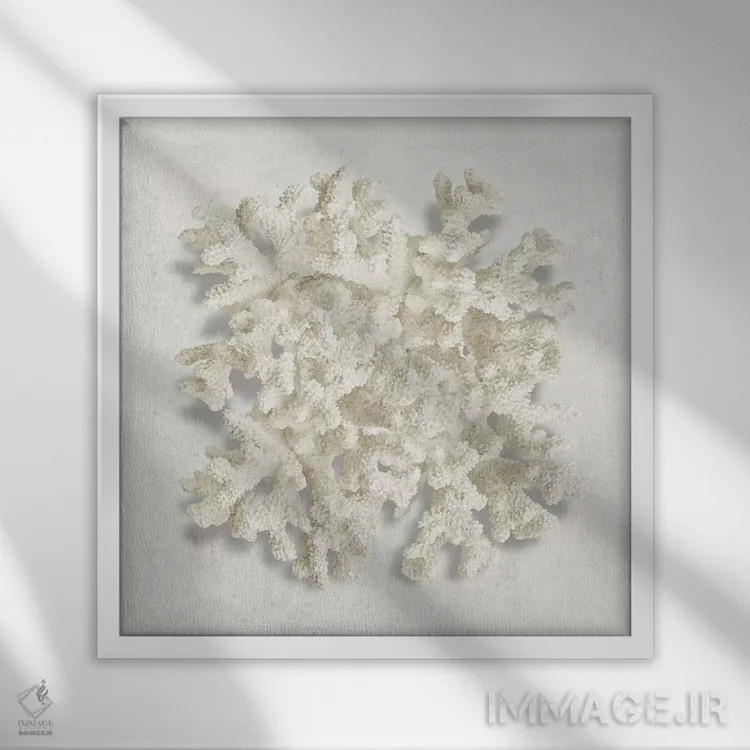 تابلو دکوراتیو مرجان II اثر کارولین کلی - نمای قابدار سفید