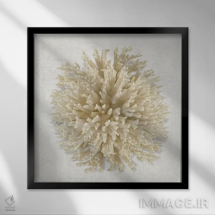 تابلو دکوراتیو مرجان کرمی I اثر کارولین کلی - نمای قابدار مشکی