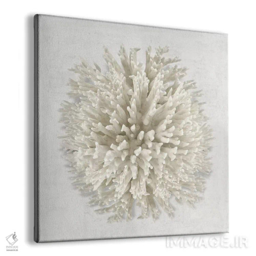 تابلو دکوراتیو مرجان I اثر کارولین کلی - نمای پرسپکتیو محصول