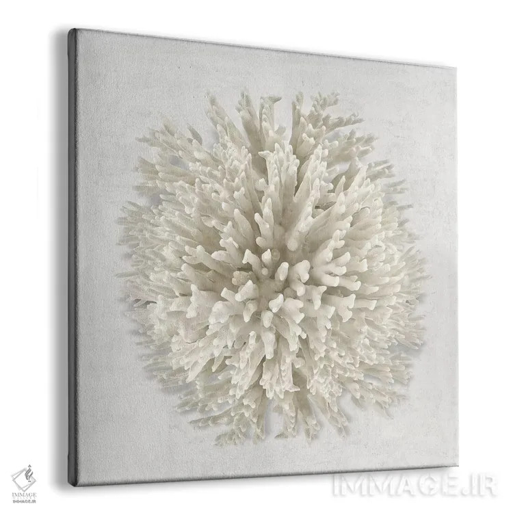 تابلو دکوراتیو مرجان I اثر کارولین کلی - نمای پرسپکتیو محصول