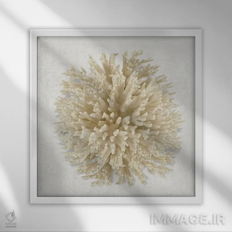 تابلو دکوراتیو مرجان کرمی I اثر کارولین کلی - نمای قابدار سفید