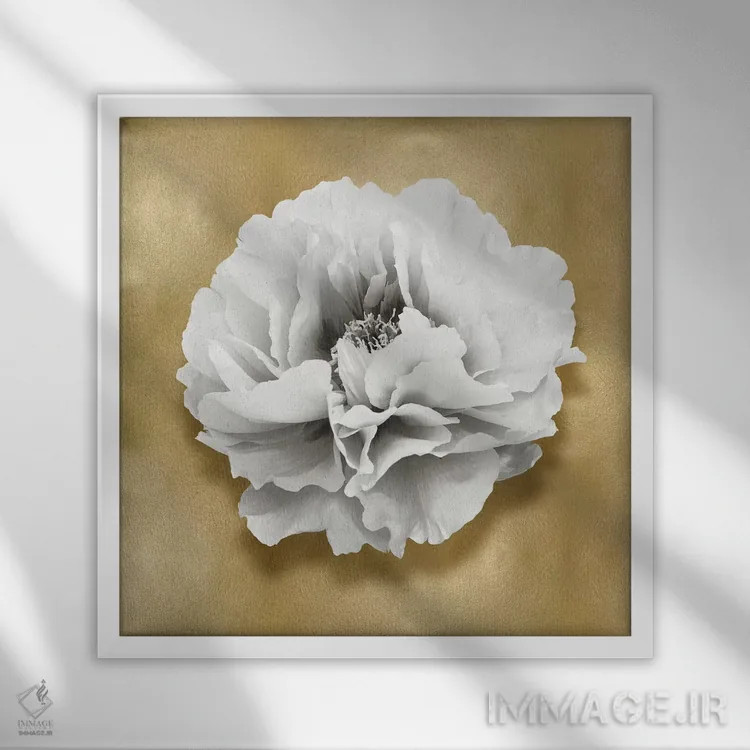 تابلو دکوراتیو گل بر روی زمینه طلایی III اثر کارولین کلی - نمای قابدار سفید