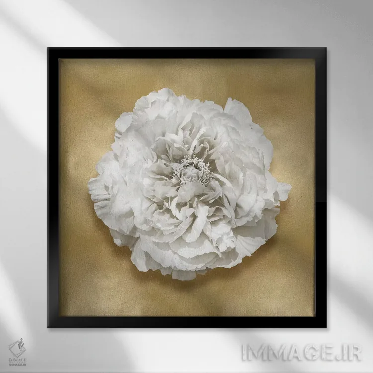 تابلو دکوراتیو گل بر روی زمینه طلایی II اثر کارولین کلی - نمای قابدار مشکی