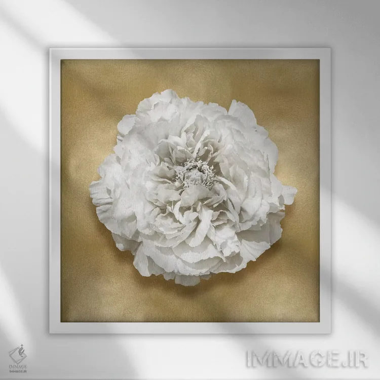 تابلو دکوراتیو گل بر روی زمینه طلایی II اثر کارولین کلی - نمای قابدار سفید