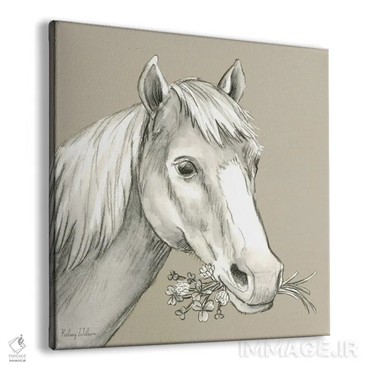 تابلو مدرن رنگ مزرعه آبرنگی III - اسب اثر کلسی ویلسون - نمای پرسپکتیو محصول