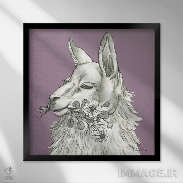 تابلو مدرن رنگ مزرعه آبرنگی VII - لاما اثر کلسی ویلسون - نمای قابدار مشکی