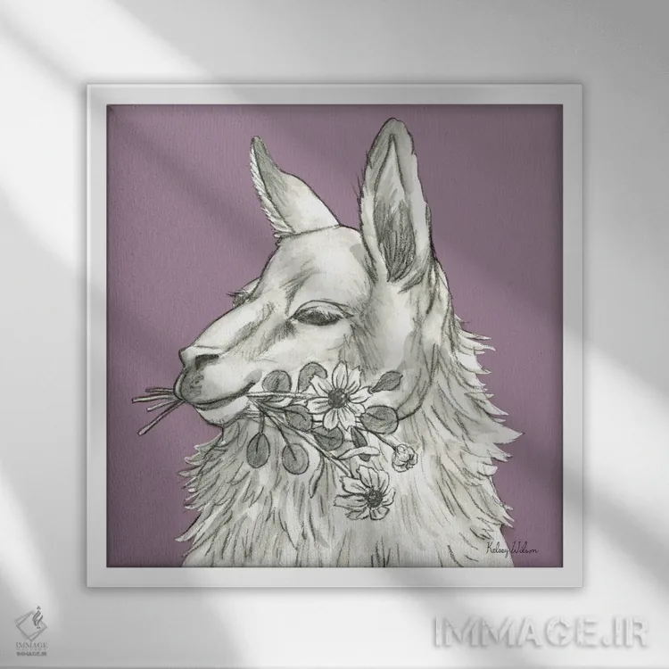 تابلو مدرن رنگ مزرعه آبرنگی VII - لاما اثر کلسی ویلسون - نمای قابدار سفید