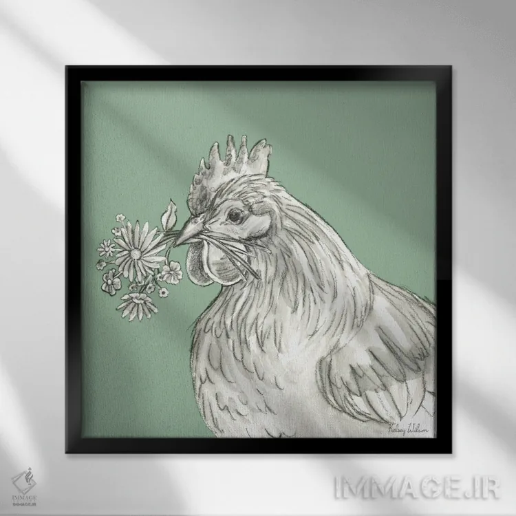 تابلو مدرن رنگ مزرعه آبرنگی X - مرغ اثر کلسی ویلسون - نمای قابدار مشکی