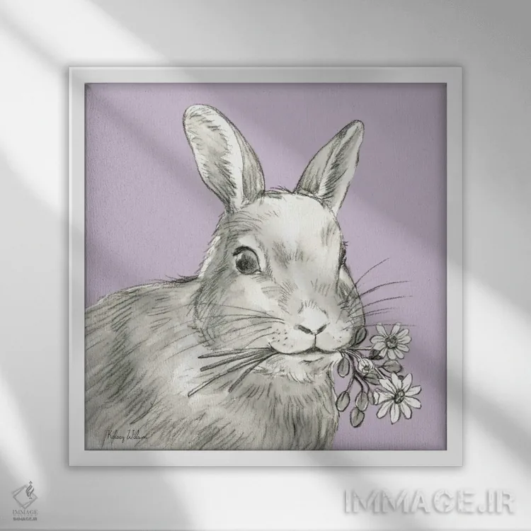 تابلو مدرن رنگ مزرعه آبرنگی V - خرگوش اثر کلسی ویلسون - نمای قابدار سفید