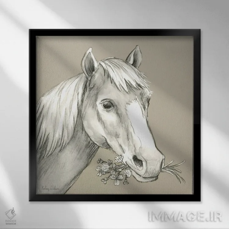 تابلو مدرن رنگ مزرعه آبرنگی III - اسب اثر کلسی ویلسون - نمای قابدار مشکی