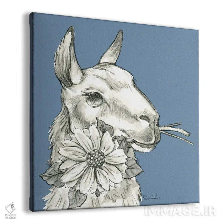 تابلو مدرن رنگ مزرعه آبرنگی XI - لاما ۲ اثر کلسی ویلسون - نمای پرسپکتیو محصول