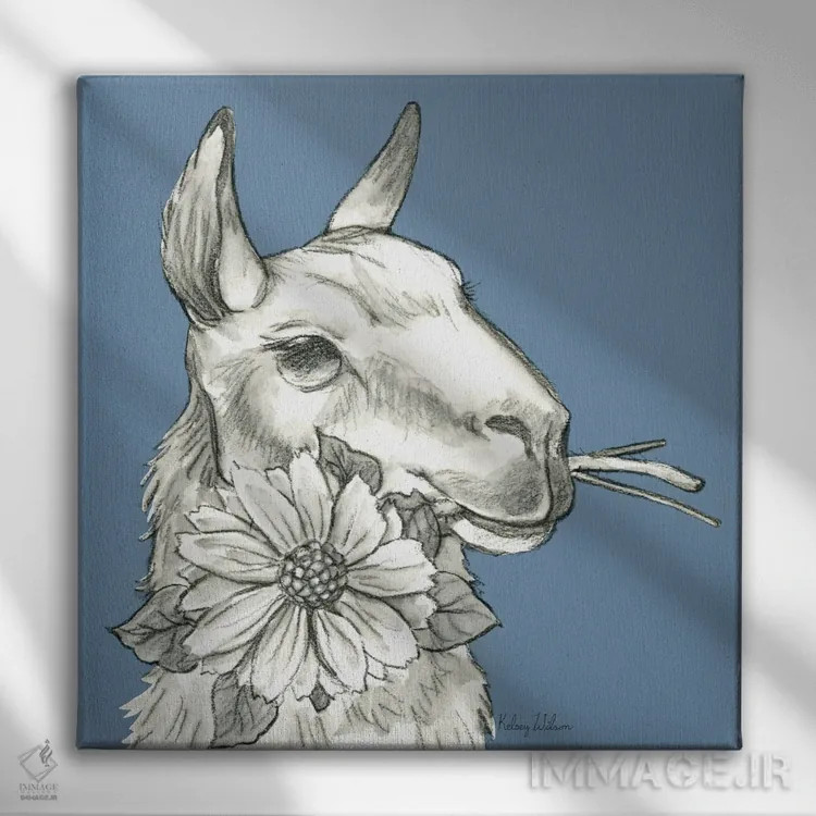 تابلو مدرن رنگ مزرعه آبرنگی XI - لاما ۲ اثر کلسی ویلسون - نمای روبهرو روی دیوار