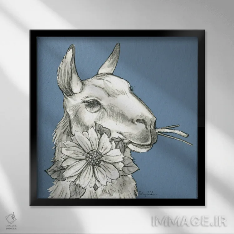تابلو مدرن رنگ مزرعه آبرنگی XI - لاما ۲ اثر کلسی ویلسون - نمای قابدار مشکی