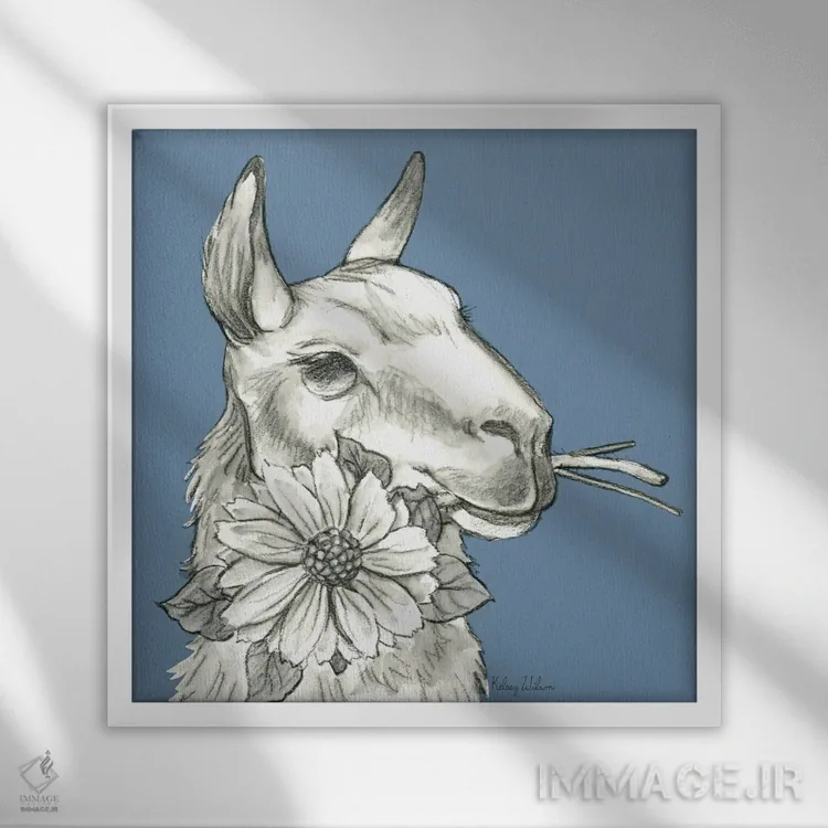 تابلو مدرن رنگ مزرعه آبرنگی XI - لاما ۲ اثر کلسی ویلسون - نمای قابدار سفید