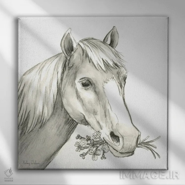 تابلو مدرن مزرعه آبرنگی III - اسب اثر کلسی ویلسون - نمای روبهرو روی دیوار
