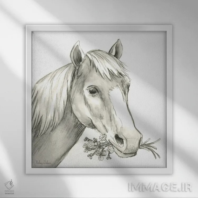 تابلو مدرن مزرعه آبرنگی III - اسب اثر کلسی ویلسون - نمای قابدار سفید