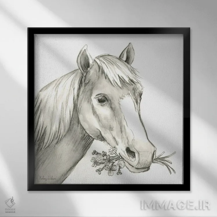 تابلو مدرن مزرعه آبرنگی III - اسب اثر کلسی ویلسون - نمای قابدار مشکی