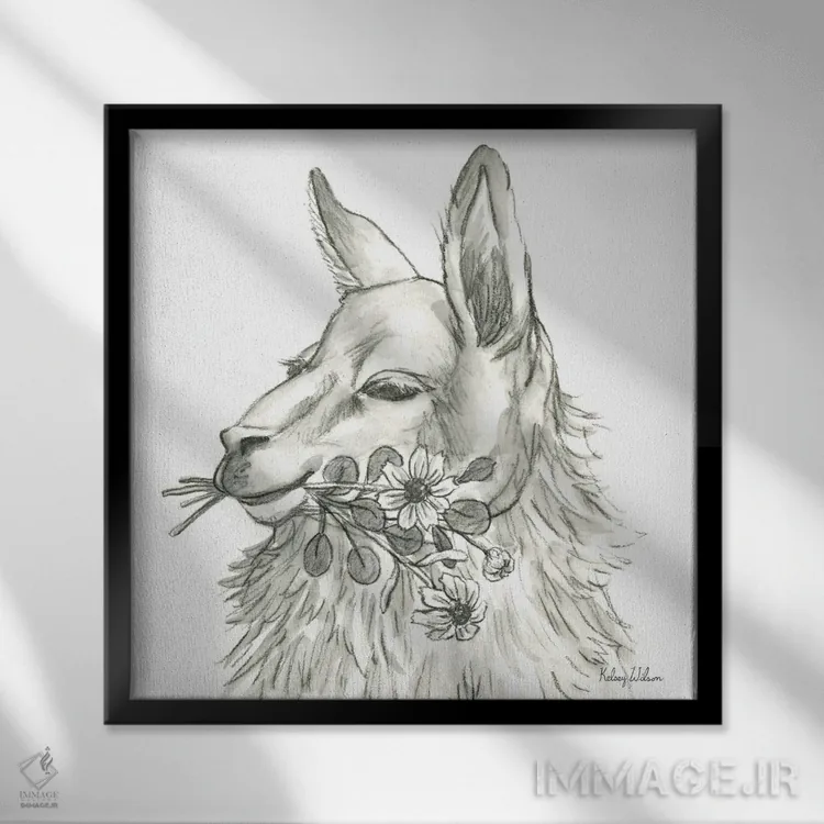 تابلو مدرن مزرعه آبرنگی VII - لاما اثر کلسی ویلسون - نمای قابدار مشکی