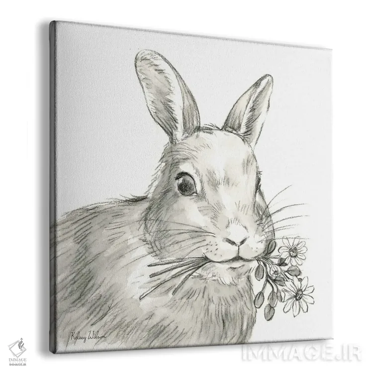 تابلو مدرن مزرعه آبرنگی V - خرگوش اثر کلسی ویلسون - نمای پرسپکتیو محصول