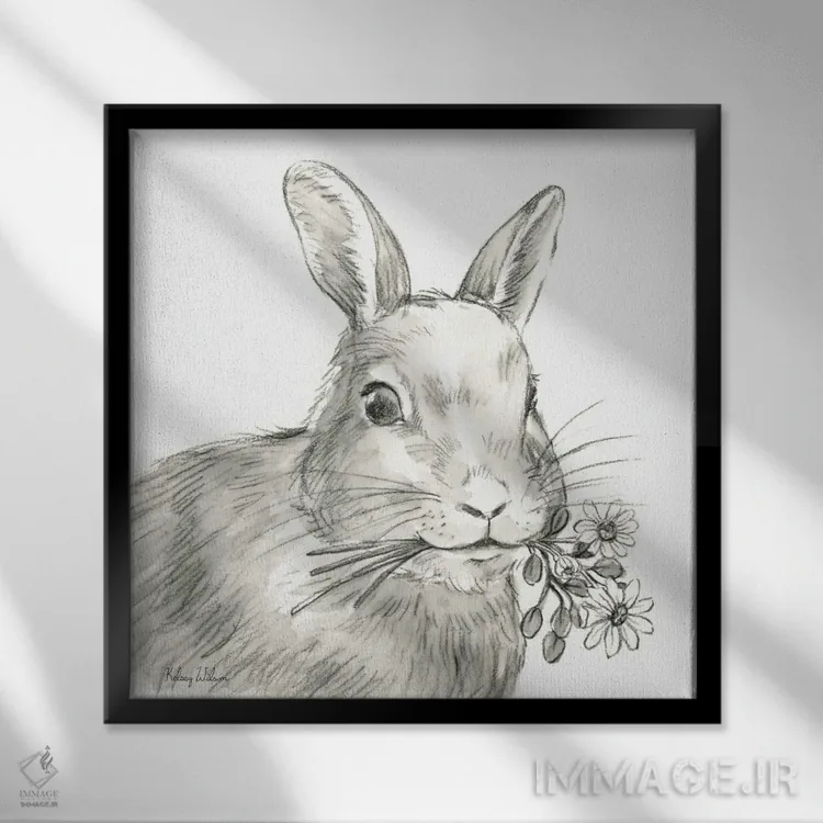 تابلو مدرن مزرعه آبرنگی V - خرگوش اثر کلسی ویلسون - نمای قابدار مشکی