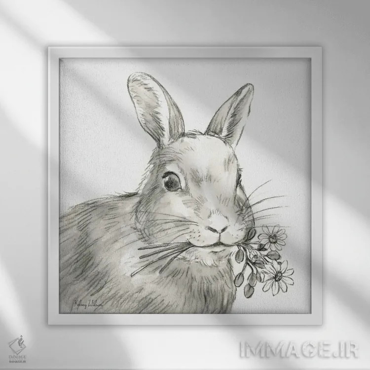 تابلو مدرن مزرعه آبرنگی V - خرگوش اثر کلسی ویلسون - نمای قابدار سفید