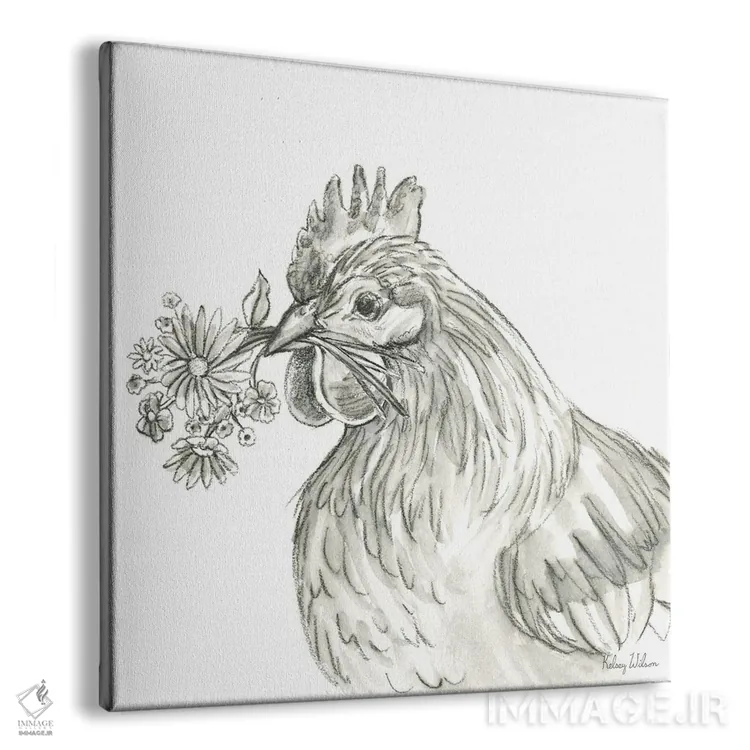 تابلو مدرن مزرعه آبرنگی X - مرغ اثر کلسی ویلسون - نمای پرسپکتیو محصول