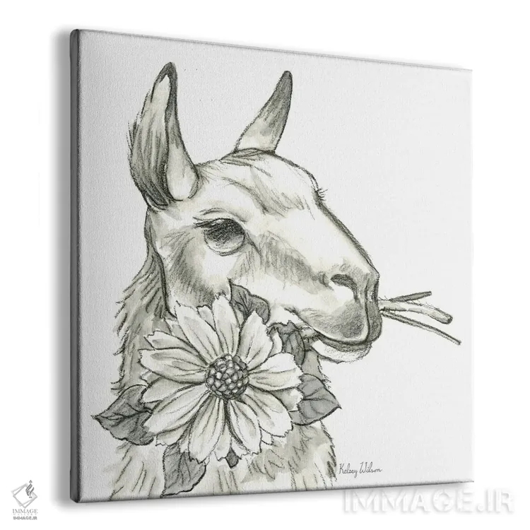 تابلو مدرن مزرعه آبرنگی XI - لاما ۲ اثر کلسی ویلسون - نمای پرسپکتیو محصول