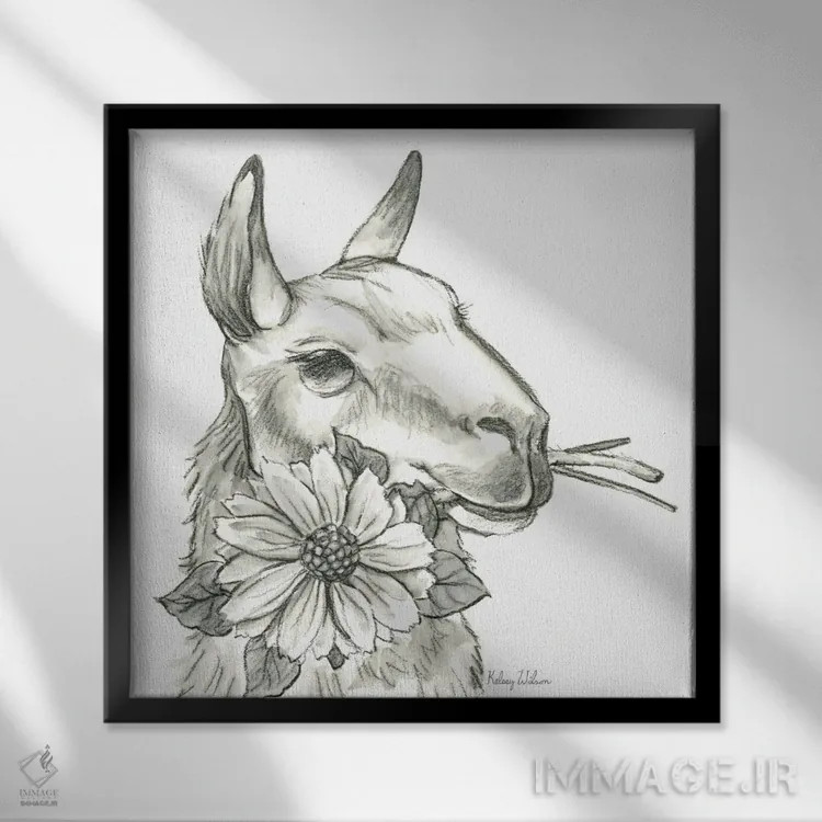 تابلو مدرن مزرعه آبرنگی XI - لاما ۲ اثر کلسی ویلسون - نمای قابدار مشکی