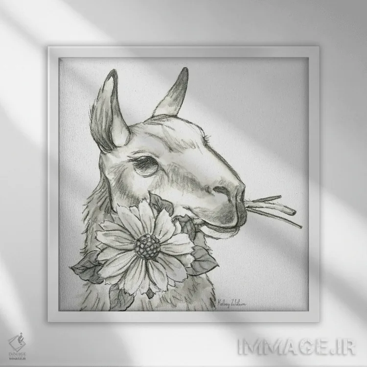 تابلو مدرن مزرعه آبرنگی XI - لاما ۲ اثر کلسی ویلسون - نمای قابدار سفید