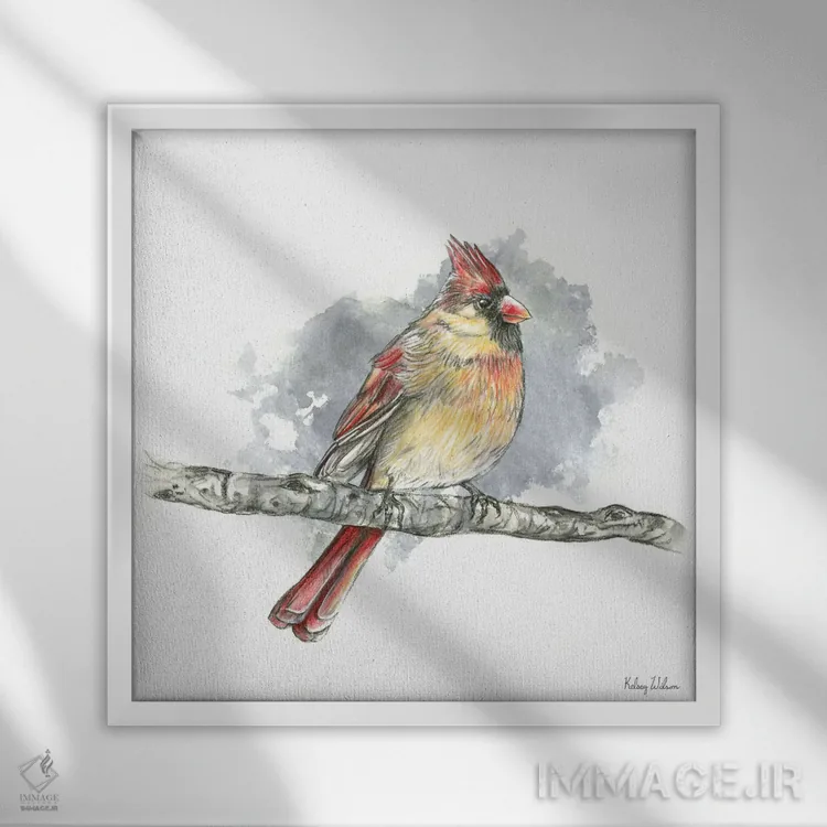 تابلو دکوراتیو پرندگان و شاخه ها II - کارباورال ماده اثر کلسی ویلسون - نمای قابدار سفید
