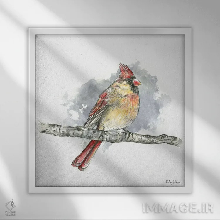 تابلو دکوراتیو پرندگان و شاخه ها II - کارباورال ماده اثر کلسی ویلسون - نمای قابدار سفید