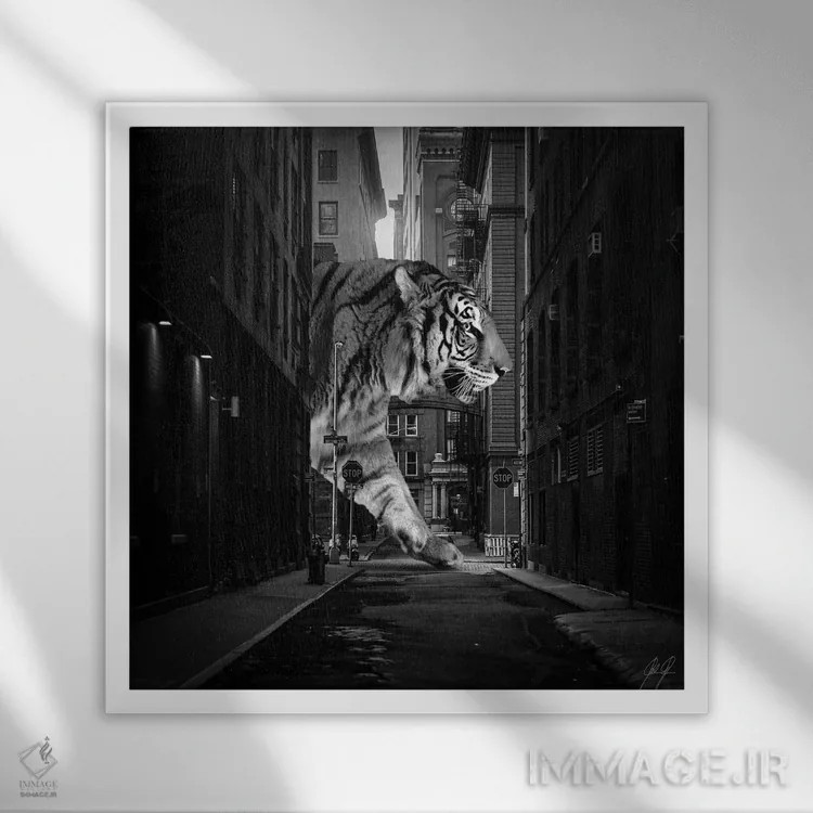 تابلو دکوراتیو ببر در نیویورک اثر کاترین فدرر - نمای قابدار سفید