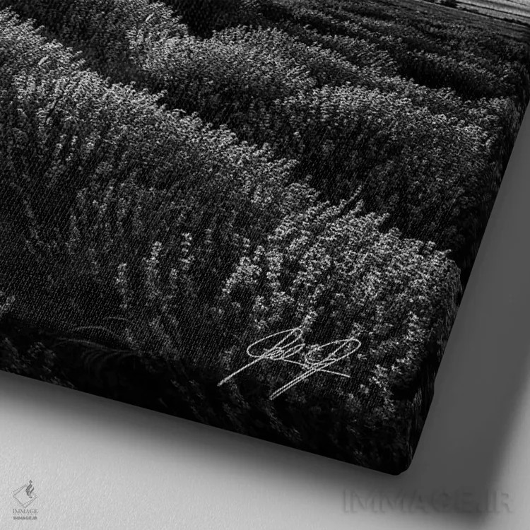 تابلو دکوراتیو اسطوخودوس معطر اثر کاترین فدرر - نمای نزدیک بافت بوم